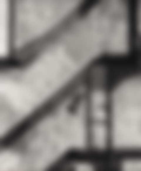 Landing Pigeon (preview)
