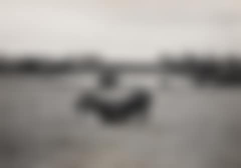 Two horses, Ireland (preview)
