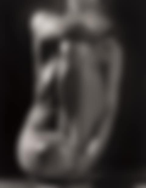 Classic Torso (preview)