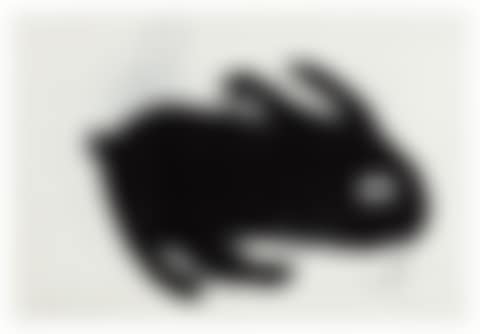 A Rabbit (preview)