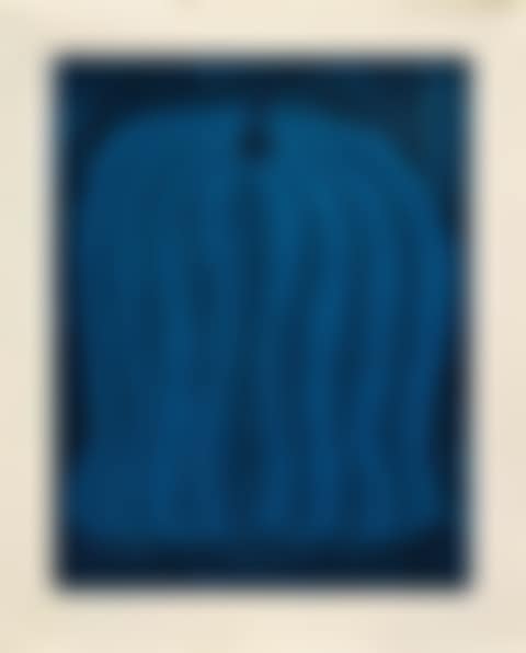 Pumpkin-Blue (preview)