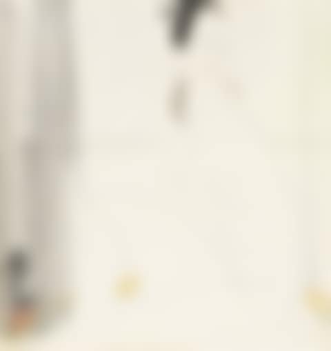 Lady (preview)