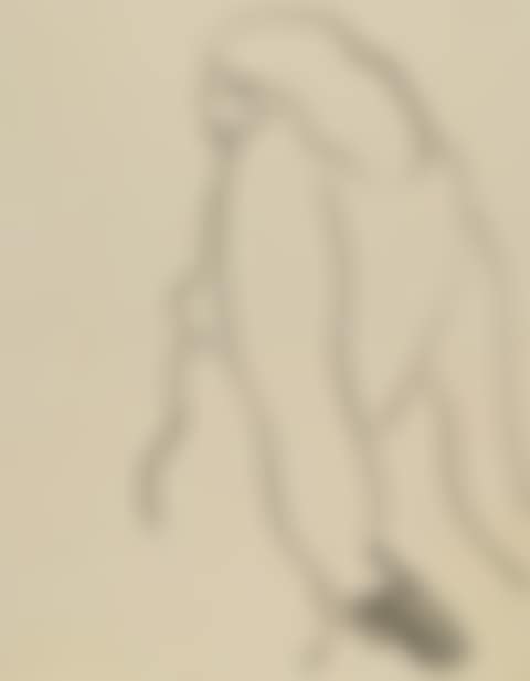 Relaxed Nude (preview)