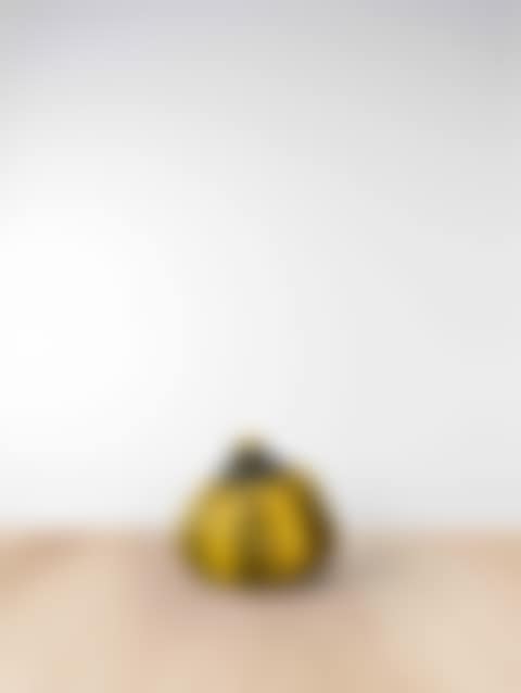 Pumpkin (preview)