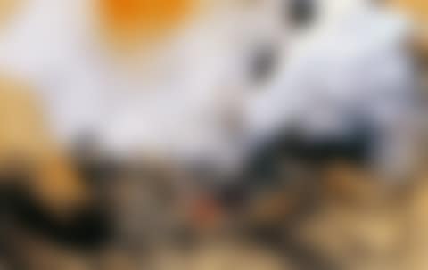 Abstract (preview)