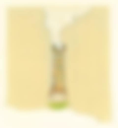 Untitled (preview)