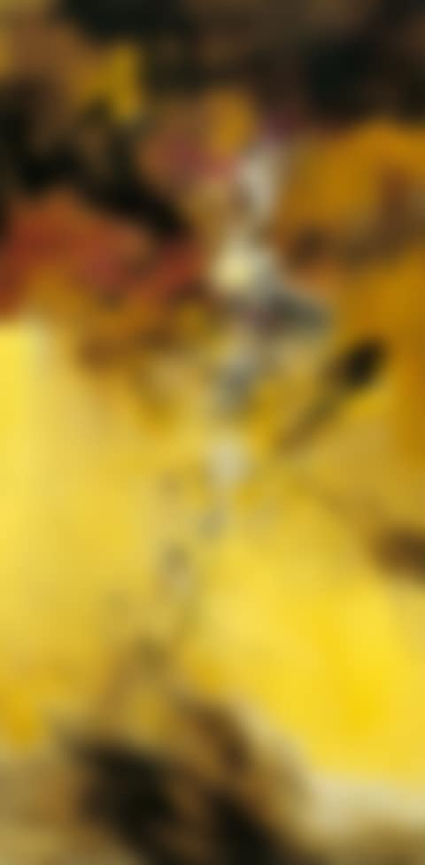 5.12.1969 (preview)