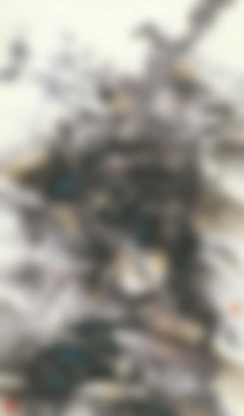 Changing Rhythm of the Mountain (preview)