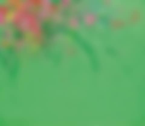 Pink Roses Biggling (preview)