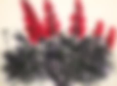 Red Salvia (preview)