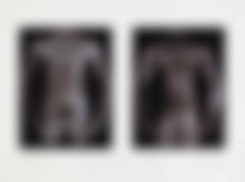 Torso Diptych (preview)