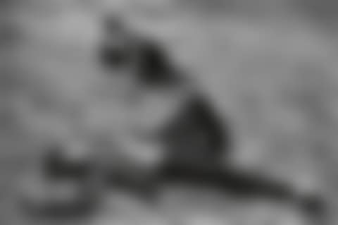 Marseille (preview)