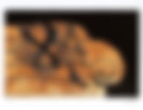 SOFA (preview)