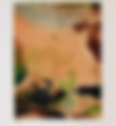 GRAVURE 265 (preview)