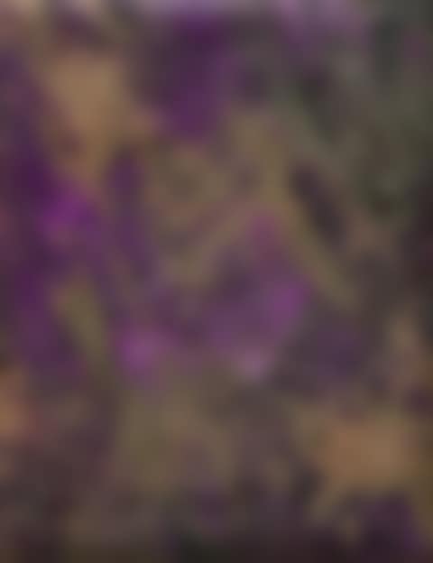 Impérial (preview)