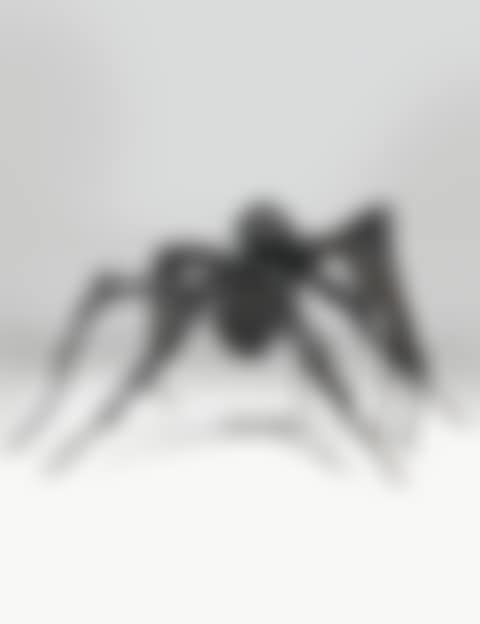 Spider V (preview)