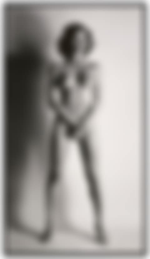 "Big Nude III" (Variation), Paris (preview)