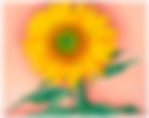 A Sunflower from Maggie (preview)