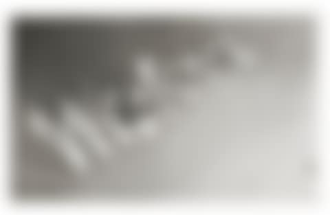Western with Fly (preview)