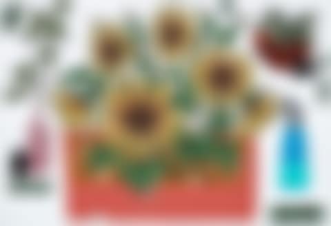 Sunflower (preview)