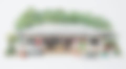 A Roadside Shop (preview)