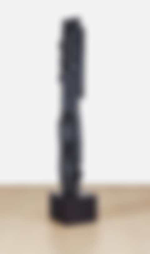 Rain Forest Column XXI (preview)