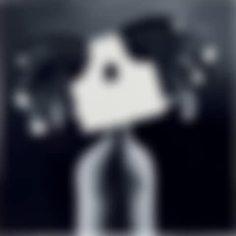 Mystic Revelation (preview)