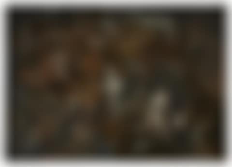 The Garden of Paracelsus (preview)