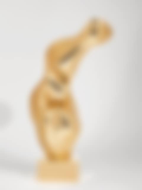 Torse-gerbe (preview)