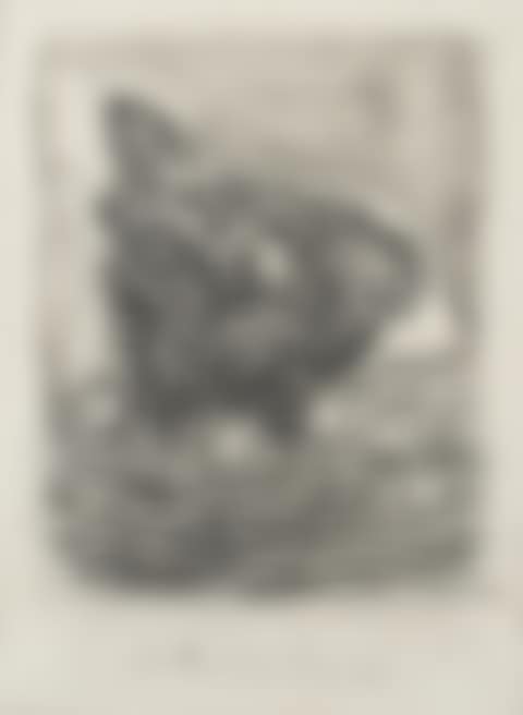 La Mère poule, from Histoire Naturelle (Eaux-fortes originales pour des textes de buffon), 1936 (preview)
