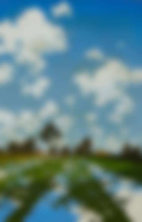 Water Let in on a Field of Alfalfa (preview)