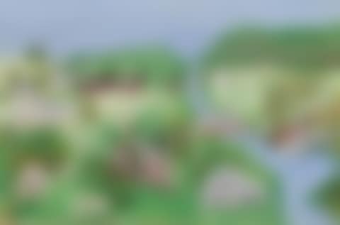 Soft Green (preview)