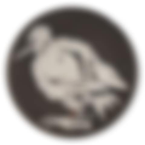 Oiseau no. 76 (A.R. 481) (preview)