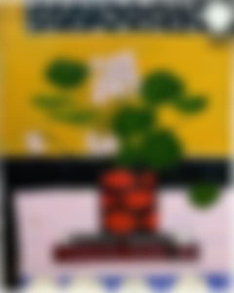 Untitled (preview)