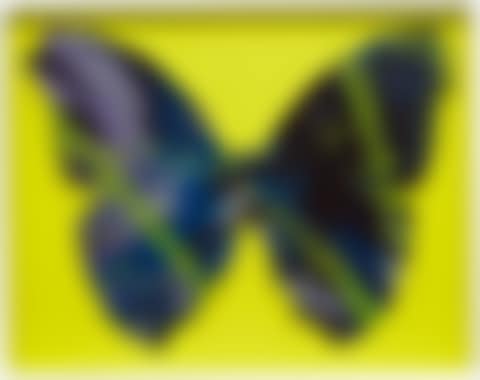 Beautiful Spin Through the Dark Butterfly for Naomi (preview)
