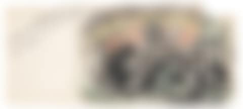 Untitled (Mexican Theme) (preview)