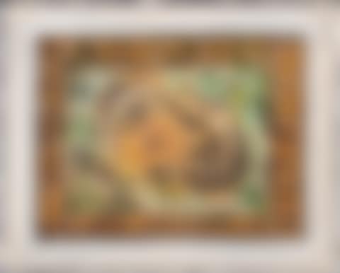 Fossil Series (preview)
