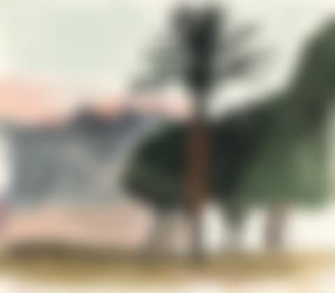 Untitled, (Tropical Landscape) (preview)
