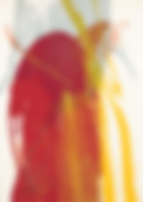 Red Parrot (preview)