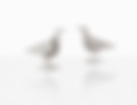 Pair of Oiseaux d"argent candelabras (preview)