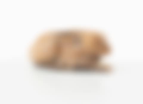 Lapin en chocolat (preview)