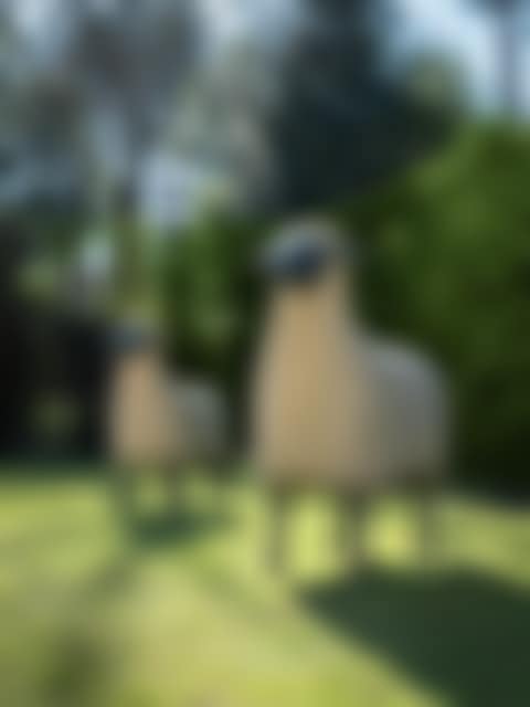 Mouton de Pierre (preview)