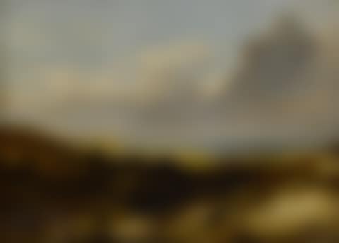 Coastal Landscape (preview)