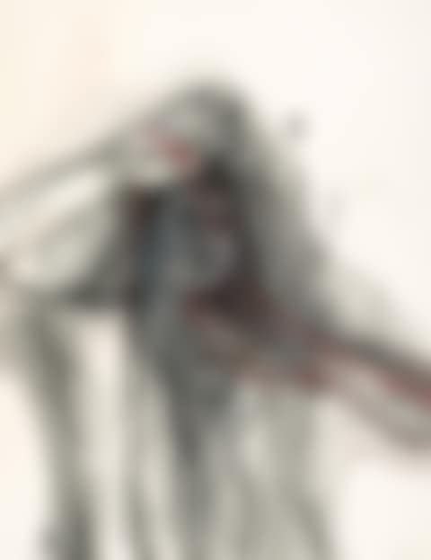 Face (preview)