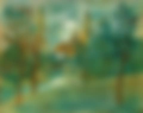 Central Park (New York) (preview)