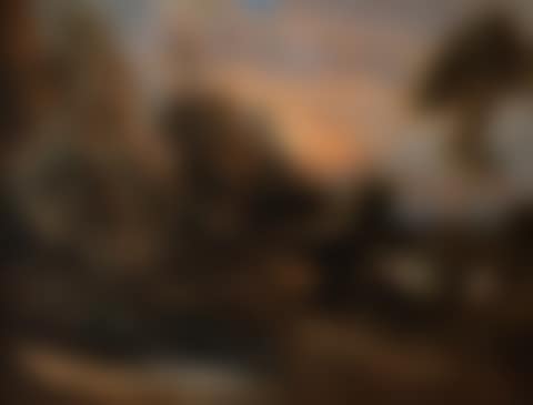A wooded landscape at sunset (preview)