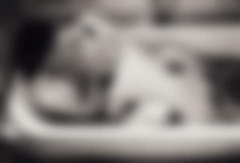 Untitled (from 'Teenage Lust') (preview)