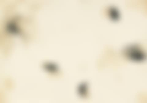 With Winds (preview)
