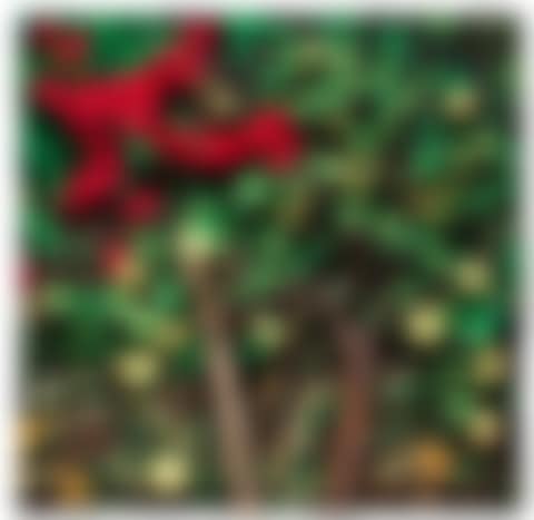 Bungavillea e mele (preview)