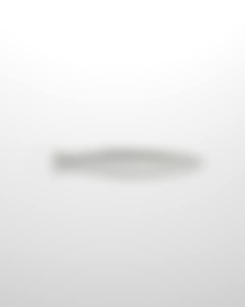Barracuda Letter Opener (preview)